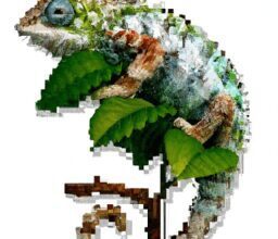 Технологии - Chameleon blending into various enviro