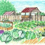 Дом и сад - Colorful vegetable garden at dacha