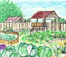 Дом и сад - Colorful vegetable garden at dacha