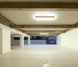 Дом и сад - Garage transformed into multipurpose