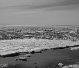 Бизнес и финансы - Barren landscape with melting ice blac