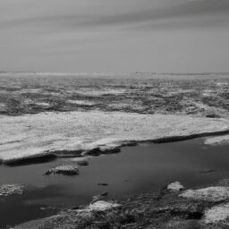 Бизнес и финансы - Barren landscape with melting ice blac